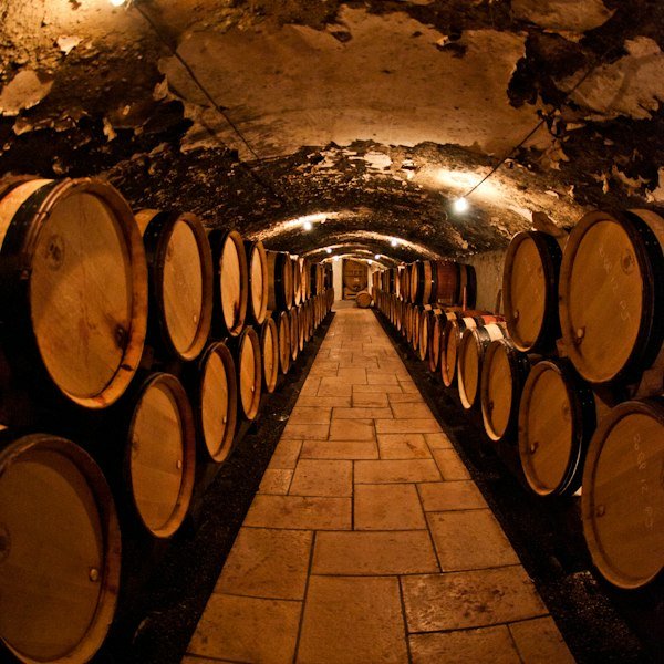 Wine barrels in a cellar